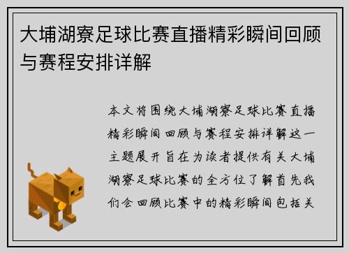 大埔湖寮足球比赛直播精彩瞬间回顾与赛程安排详解